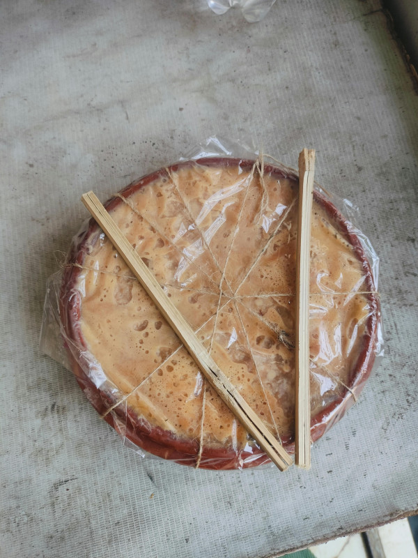 বগুরার সরা দই