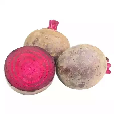 বিট / বিটরুট (Beetroot)