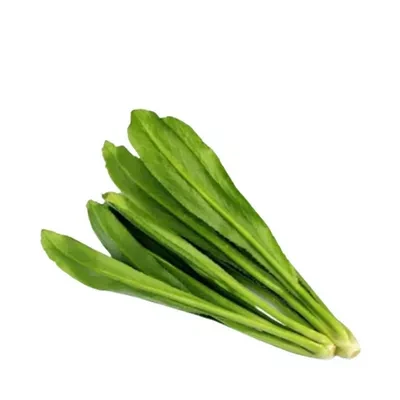 বিলাতি ধনিয়া পাতা (Long Coriander Leaves)