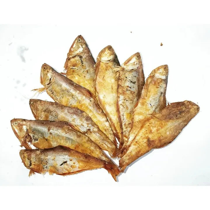 সিদল (Shidol)