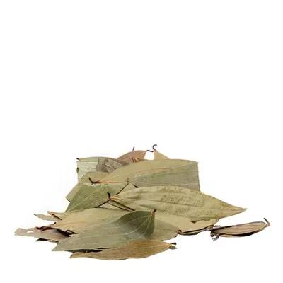 তেজপাতা (Bay Leaf )