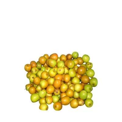 টক বড়ই বা টক কুল (Sour Jujube/Ber)