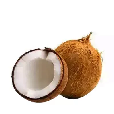 নারিকেল (Coconut)