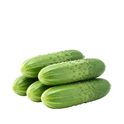 দেশি খিরা (Local Cucumber)