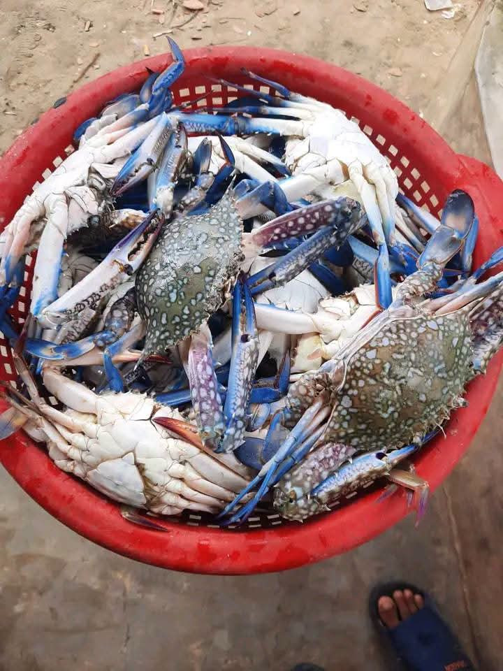 কাকড়া