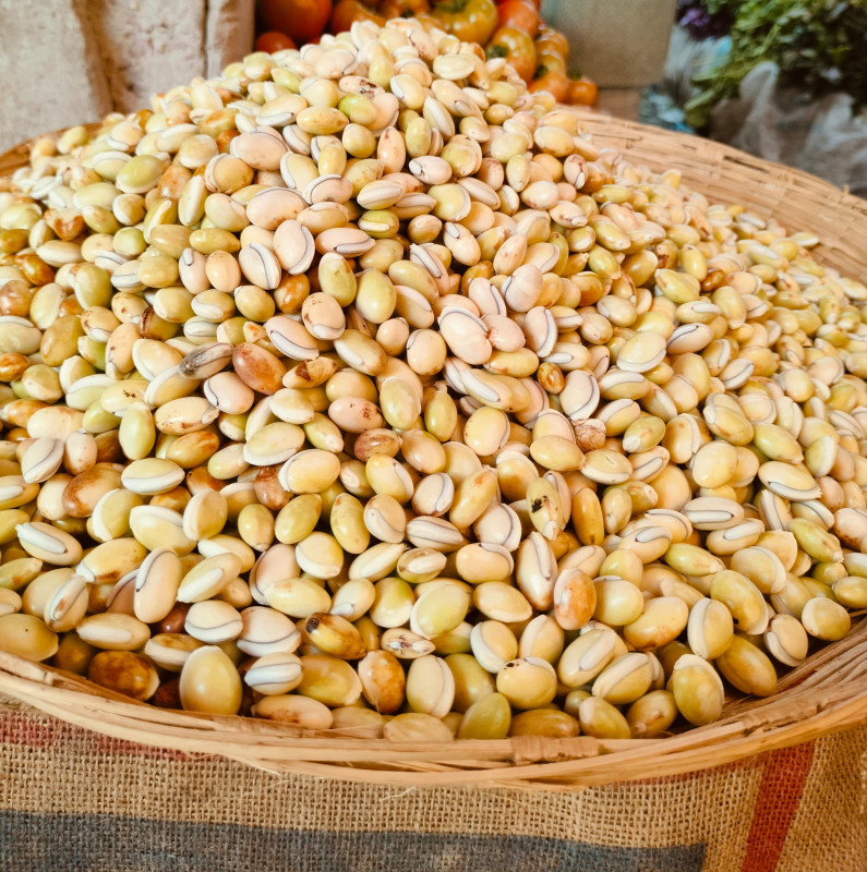 শিমের বিচি "সাদা" (Beans Seed)-500g
